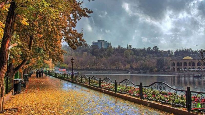 FlyDubai Tabriz Office in Iran