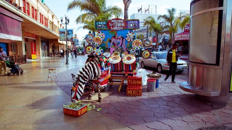 Aeromexico Tijuana Office in Mexico