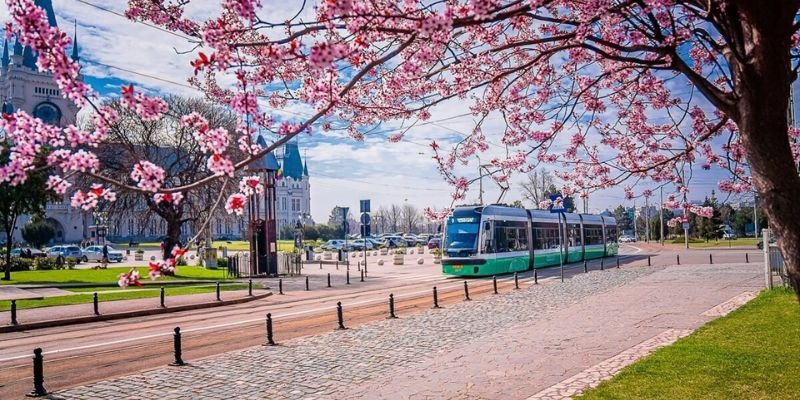 Wizz Air Iași Office In Romania