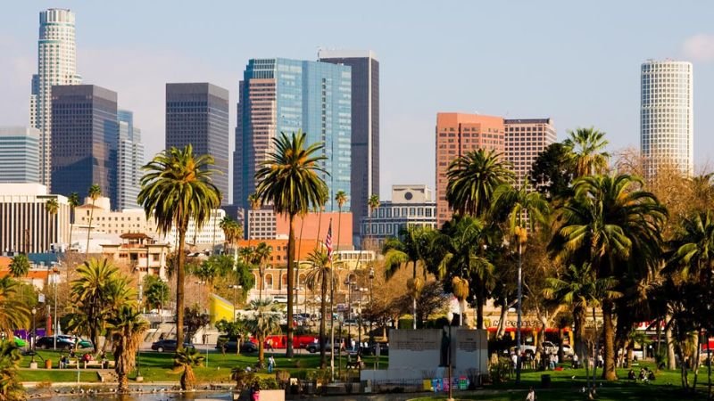 Flynas Los Angeles Office in California